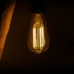 Lampade a LED per la coltivazione indoor: le principali tipologie